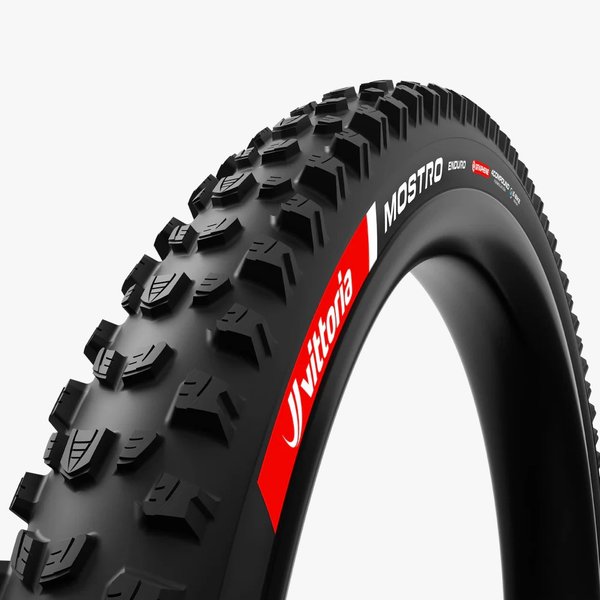 Mostro Enduro 29 x 2.4 Black MTB Tire